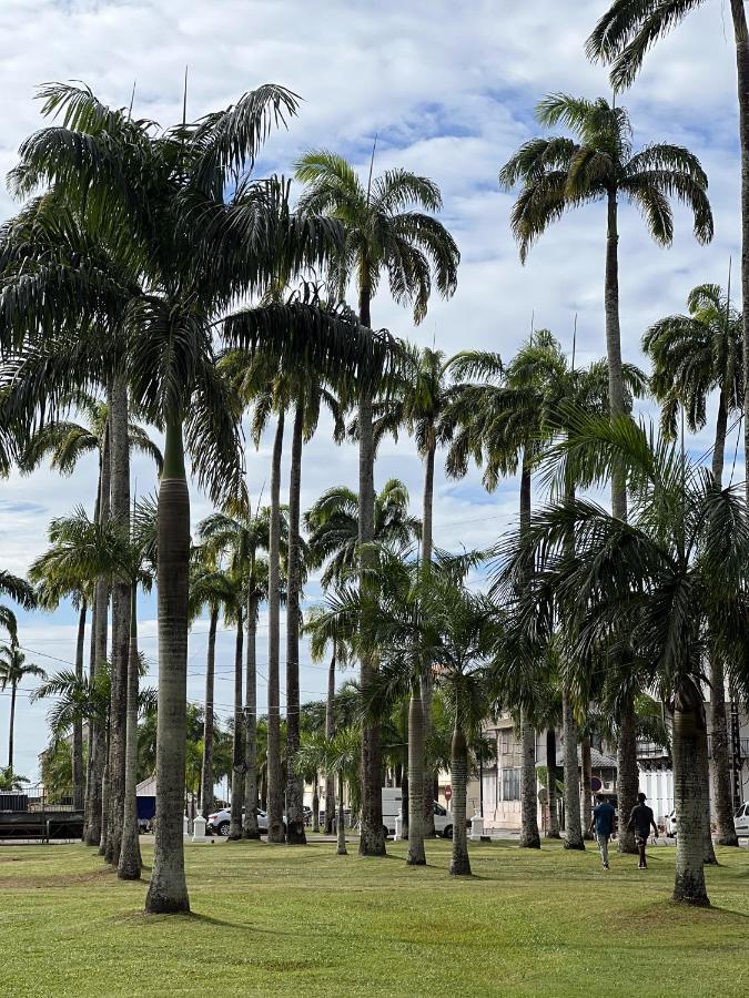 ホテル Ibis Styles Cayenne Centre Amazonia エクステリア 写真